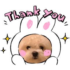 Emily_20210830114721