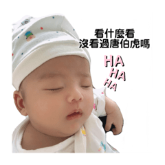 隼（ㄓㄨㄣˇ）