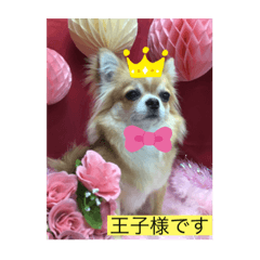 YUTO_20210830140756