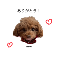 miyuu_20210829163135