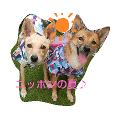 tomomi_20210830161459