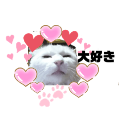 emily_20210829174827