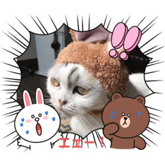 hana_20210830195852