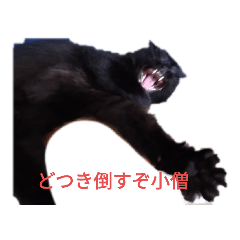 hana_20210829191312