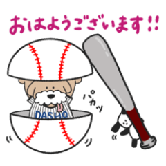 "Daako" joined the baseball club.