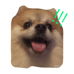 MYMEME