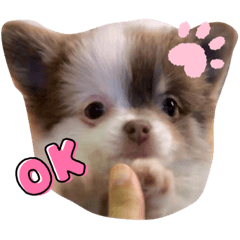saya_20210829182733