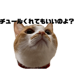 nanami_20210830224155