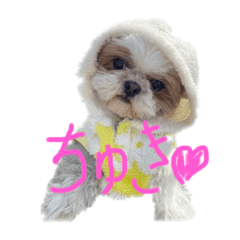So_20210829215943