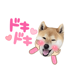 tomomi_20210829215541