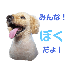 Mid-key_20210829215012