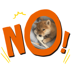 ayumi_20210829222047