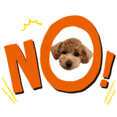 hikari_20210829223001