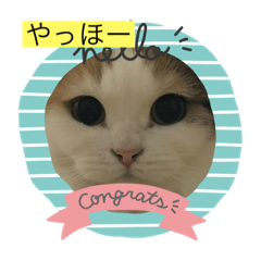 ryuki_20210829223248