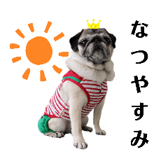 Pug motif sticker4 [Summer]