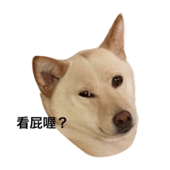 我是Q比，Q比是我