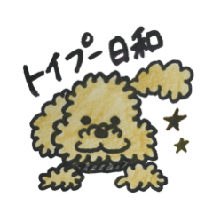 It's a perfect day for toy poodle!!