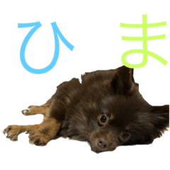 kakeru Inoue_20210829232332