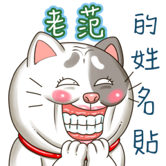 just yourcat! Lao Fan