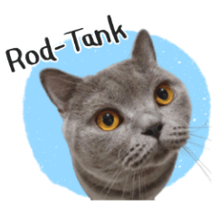 Rod-Tank The Sounthern Cat