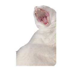 asuka_20210829230622