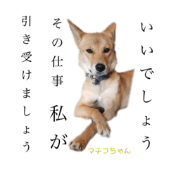 Ringo_20210831124408