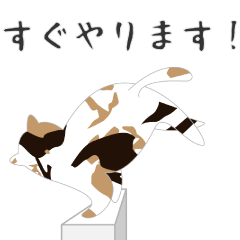 Back Cat 7 -SENEKO 7-