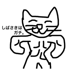 muscle cat for Shibasaki 1