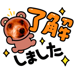 ri-a_20210831002743