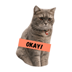 pepperisagoodboy