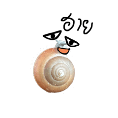 Mr.snail ver.photo