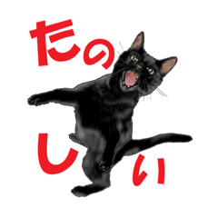 黒猫オレオくんリアルイラストスタンプ Line スタンプ Line Store 黒猫オレオくんリアルイラストスタンプ Line スタンプ Line Store