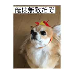 YUTO_20210831163751