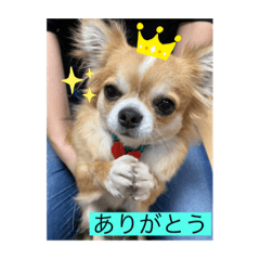 YUTO_20210831151001