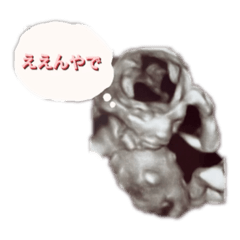 Miki_20210830152551