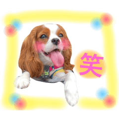 A sticker of a picture of the dog[4]