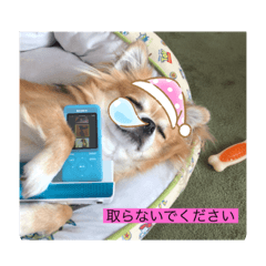 YUTO_20210831190141