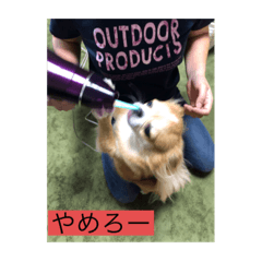 YUTO_20210831143528