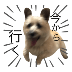 ayumi_20210830173950