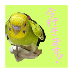 saya_20210830174044