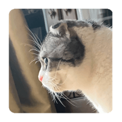 hikari_20210830175514