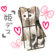 Himenyan.love
