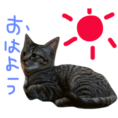 takerun2
