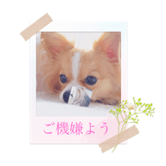 yukari_20210831174014