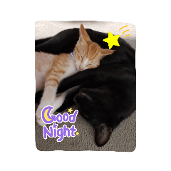 akiko_20210830095126