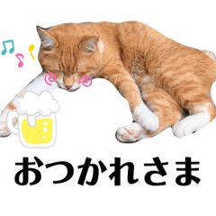 cocoa_20210831211253