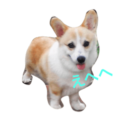 ramchanno