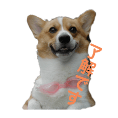 MATSU_20210831223813