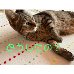 MICHIKO_20210901003901