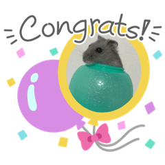 cherry_20210901005133